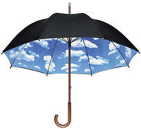 Umbrella Insurance